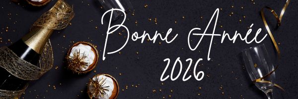 Lire la suite à propos de l’article Bonne année 2026 !